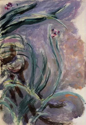 The painting Irises