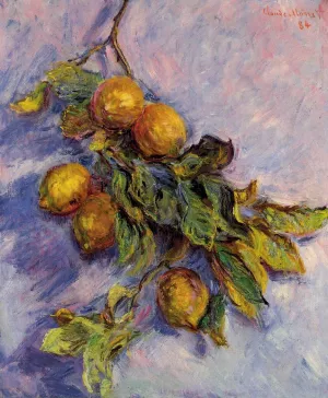 The painting Claude Monet Lemons on a Branch