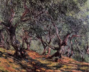 Olive Trees in Bordighera by Claude Monet - Hand-Painted Oil Painting Reproduction