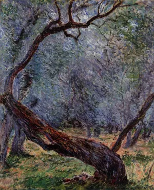 The painting Study of Olive Trees