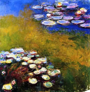 The painting Claude Monet Water-Lilies 14