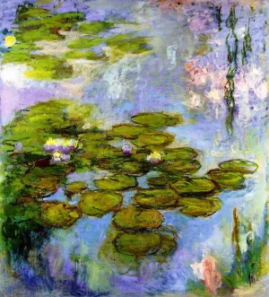 Water-Lilies 9